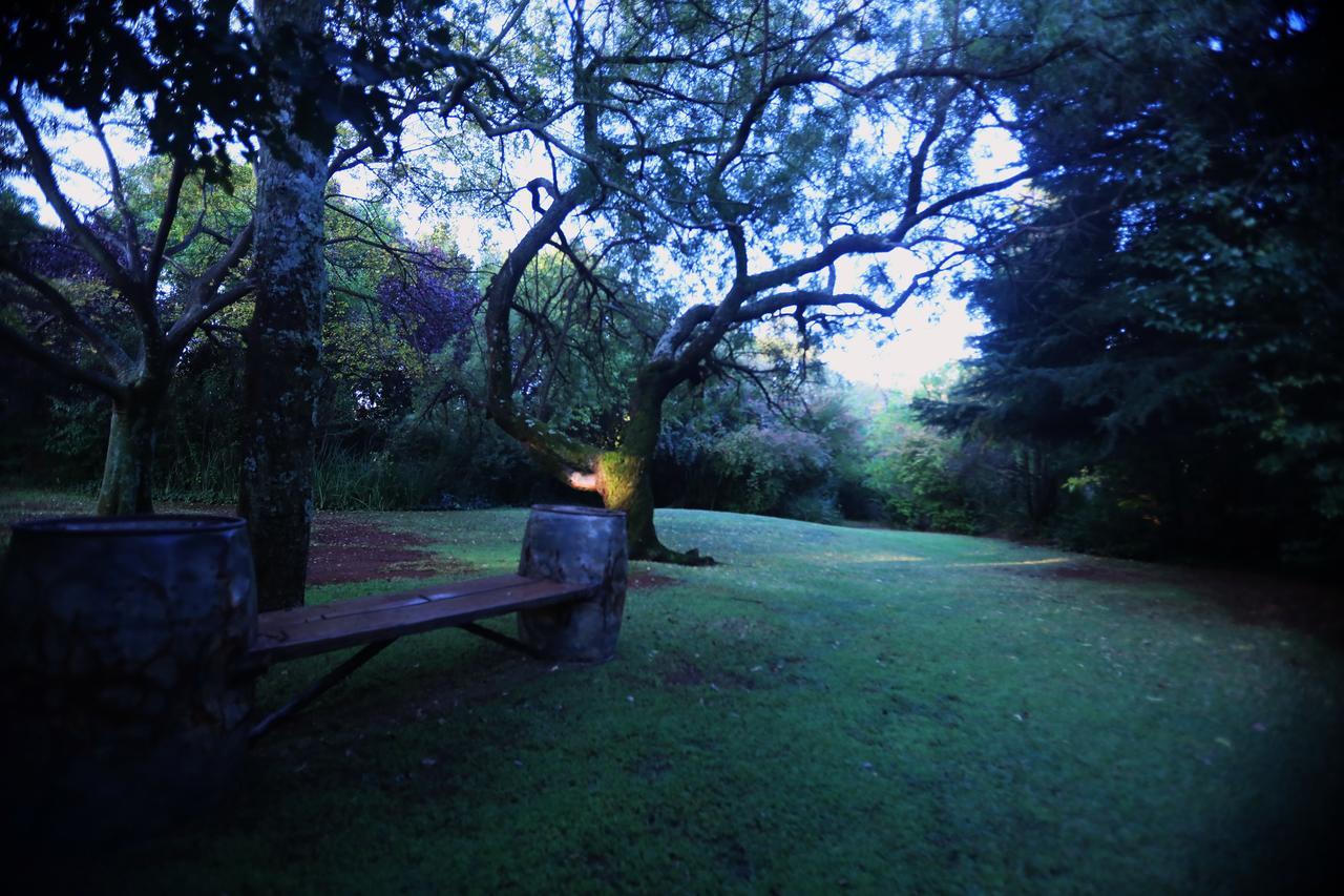 Andante Lodge Pretoria Exterior photo
